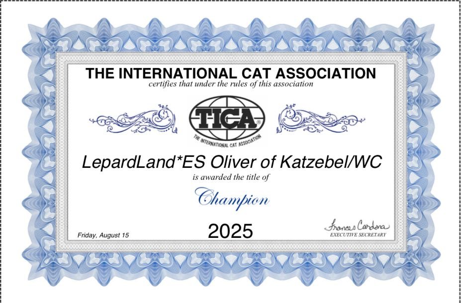 Diploma de premio Oliver